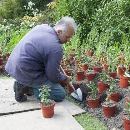 Sneeboer Great Dixter Short Planting Spade being used by Fergus Garrett