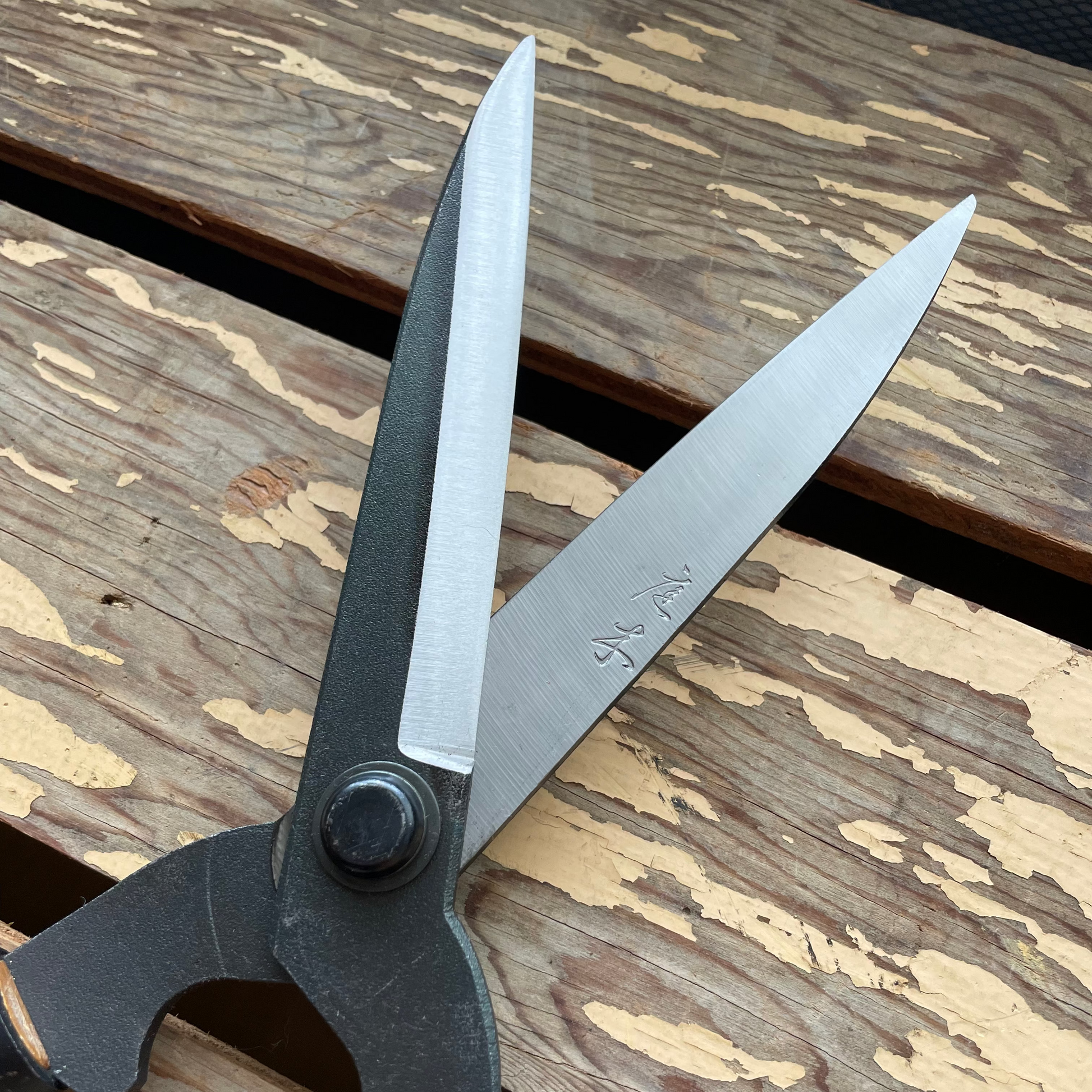 Niwaki Steel Mini Shears with Vinyl Grip Handles, Open Blades