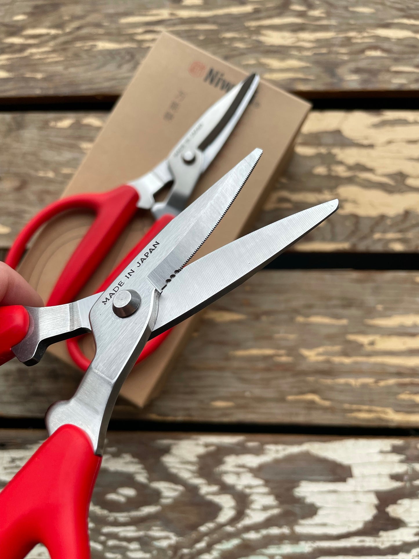 Close-up of Niwaki Utility Scissors in open position