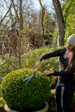 Okatsune Shears being used for Boxwood pruning