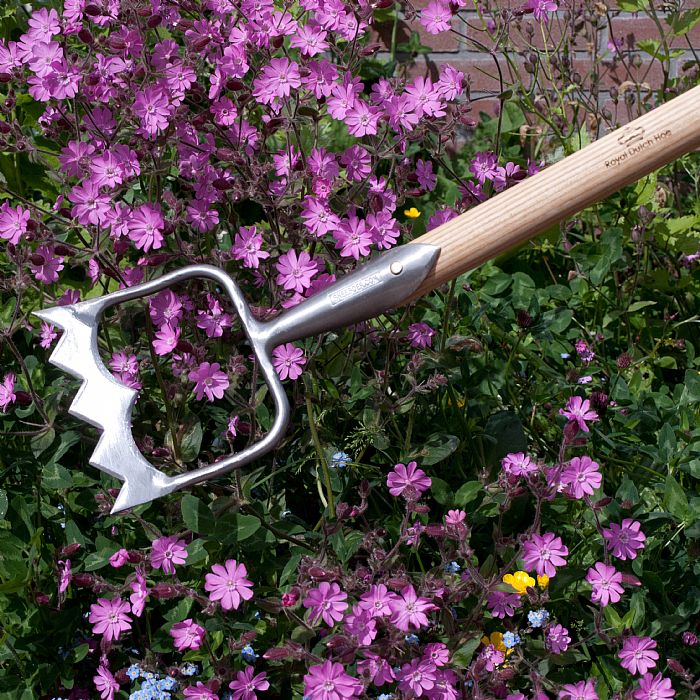 Sneeboer Royal Dutch Hoe against background of flowers