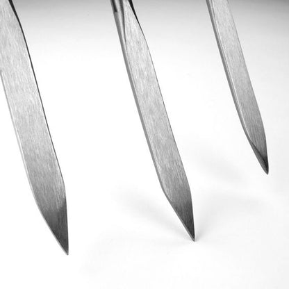 Sneeboer Great Dixter Tickling Fork, close-up of tines