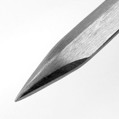 Sneeboer Great Dixter Tickling Fork, close-up of single tine